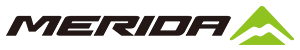 MERIDA スポーツ自転車 マウンテンバイク 29インチ