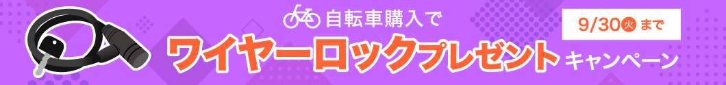 ワイヤーロックプレゼント