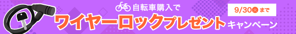 ワイヤーロックプレゼント