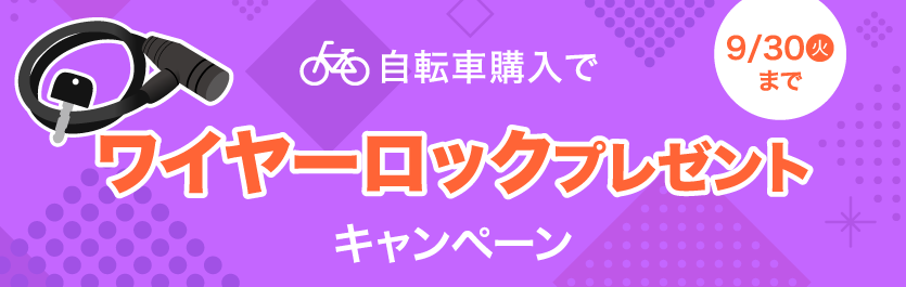 ワイヤーロックプレゼント