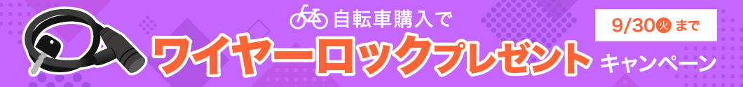 ワイヤーロックプレゼント