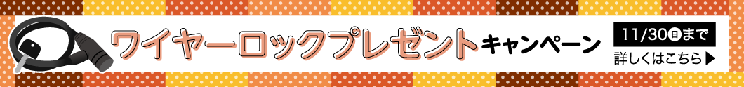 ワイヤーロックプレゼント