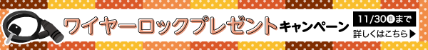 ワイヤーロックプレゼント