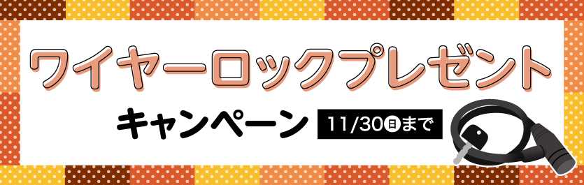 ワイヤーロックプレゼント