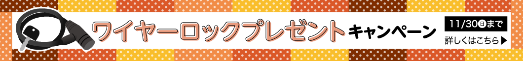 ワイヤーロックプレゼント