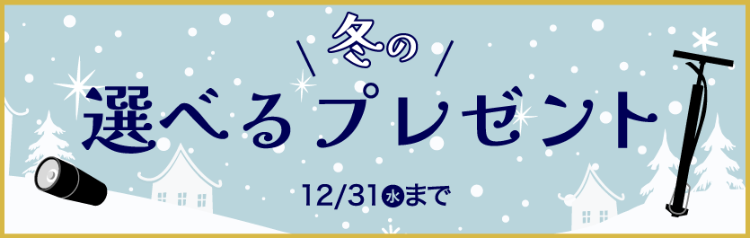 冬の選べるプレゼント