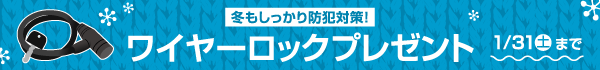ワイヤーロックプレゼント