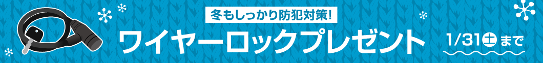 ワイヤーロックプレゼント