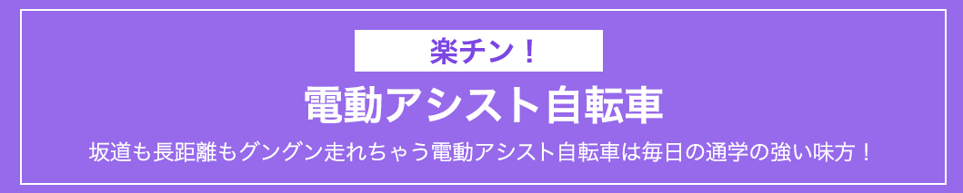楽チン！電動アシスト付き