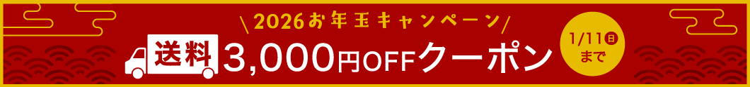 お年玉キャンペーン
