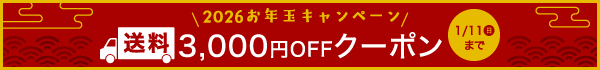 お年玉キャンペーン