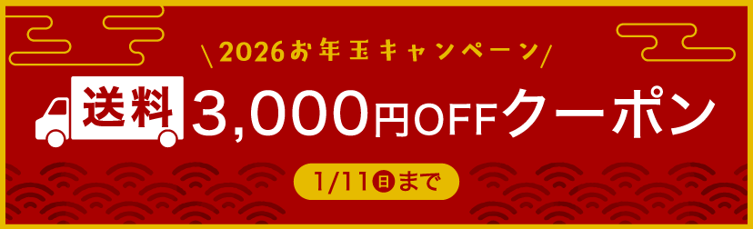 お年玉キャンペーン