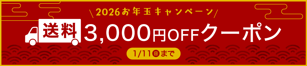 お年玉キャンペーン