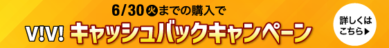 ViViの日キャッシュバックキャンペーン