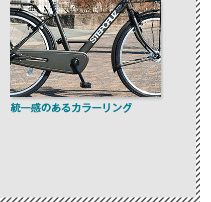 ブリヂストン（BRIDGESTONE）ステップクルーズ(STEPCRUZ)の統一感のあるカラーリング