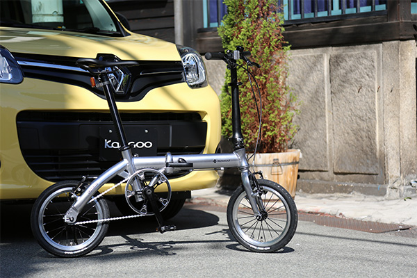 RENAULT PLATINUM LIGHT6の商品画像