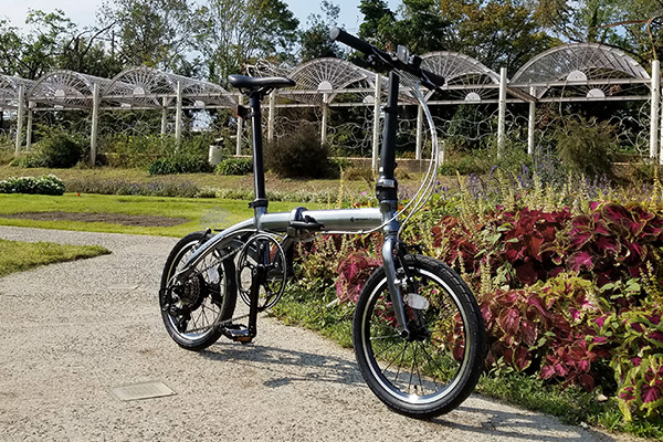 RENAULT PLATINUM LIGHT8の商品画像