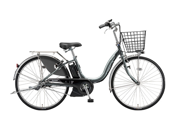 ブリヂストン（BRIDGESTONE） アシスタU DX 