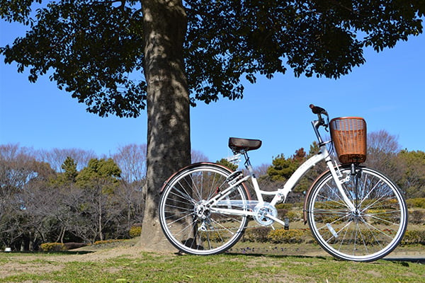 BC-626 WACHSEN(ヴァクセン) 折りたたみ自転車 26インチ