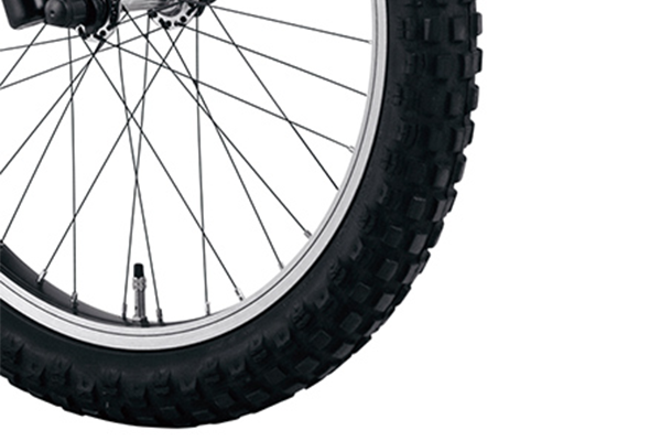 EZの個性を主張するワイルドなタイヤです（20×2.125HE）