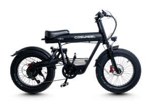 Yuki　コスウェル　ミライコンフォート COSWHEEL MIRAI COMFORT COSWHEEL(コスウェル) e-bike(イーバイク) 20