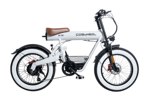 COSWHEEL MIRAI COMFORT (コスウェル・ミライ・コンフォート）