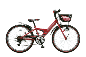 エクスプレスジュニア