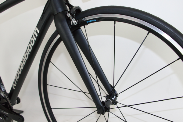 軽量で振動吸収性に優れるカーボンフォークを搭載。