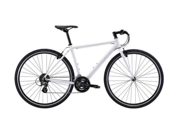 FUJI RAIZ(ライズ) スポーツ自転車 クロスバイク 700C