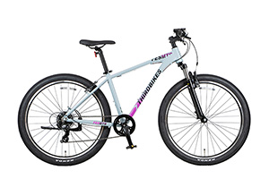 マットグレー／FESMTB