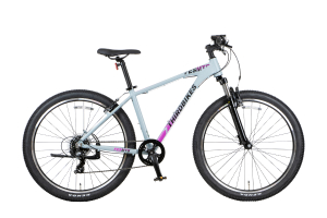 マットグレー／FESMTB