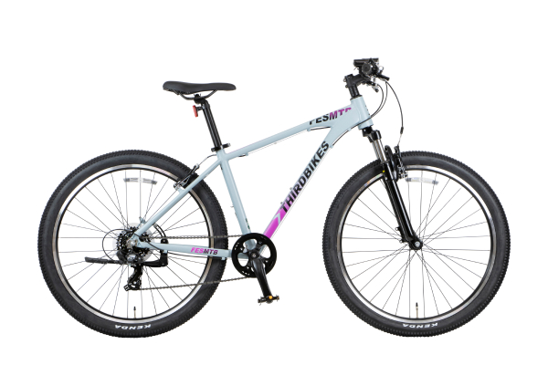 マットグレー(2022モデル)