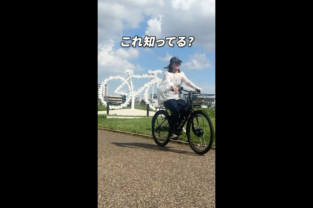 メーカー公式紹介動画です