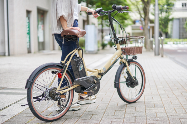 TDN-206LD PELTECH 折りたたみ自転車 20インチ | 自転車通販「cyma