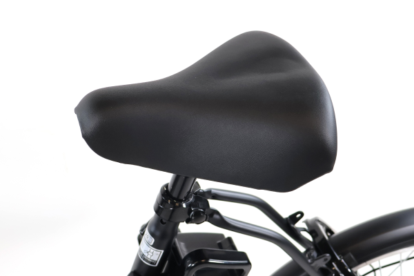 TDN-208L PELTECH 折りたたみ自転車 20インチ | 自転車通販「cyma