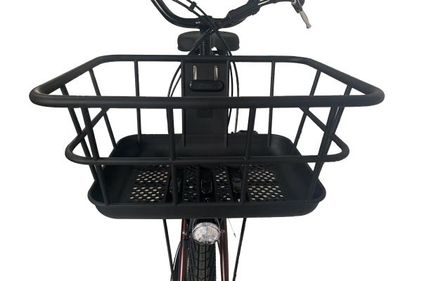 電動自転車【本日限定！本日中のお取引確定で値下げ！55000→45000】 TDN-209L PELTECH 電動自転車・電動アシスト自転車 20インチ | 自転車