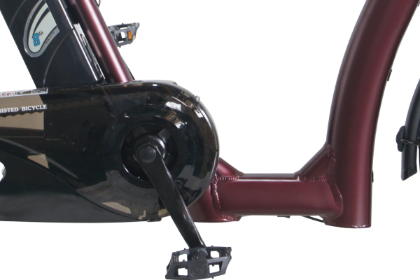 TDN-209L PELTECH 電動自転車・電動アシスト自転車 20インチ | 自転車