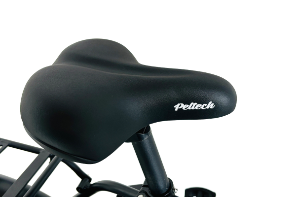 TDN-246L PELTECH 折りたたみ自転車 20インチ | 自転車通販「cyma