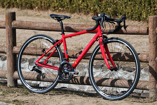 ブリヂストン（BRIDGESTONE） CYLVA D18 スポーツ自転車 ロードバイク 700C