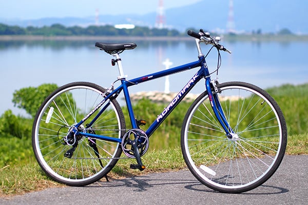 DAINICHI ロードマーク RB700 スポーツ自転車 クロスバイク 700C