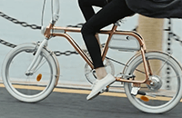 コンスタンテ・ジラルデンゴ