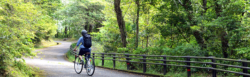 クロスバイクで行く！新緑サイクリング | 自転車通販サイト「cyma -サイマ-」