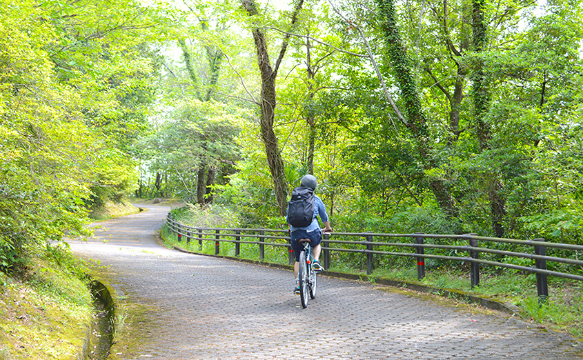 クロスバイクで行く！新緑サイクリング | 自転車通販サイト「cyma -サイマ-」