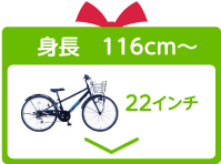 22インチ
