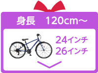24インチ