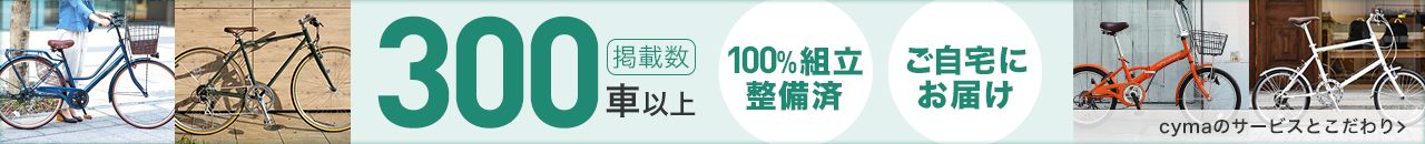 掲載数300車以上
