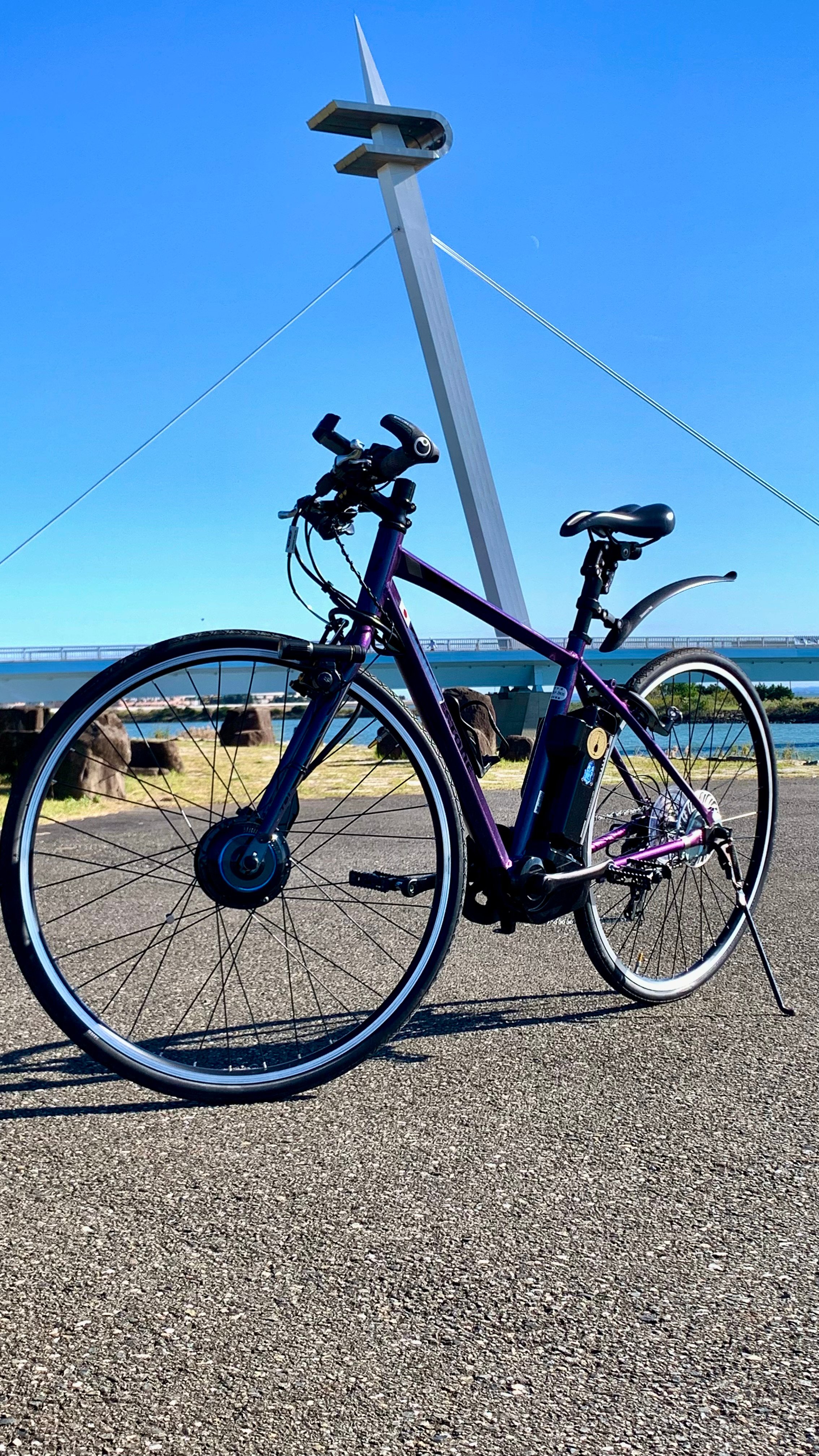 迷ったらとりあえずこれでいい。