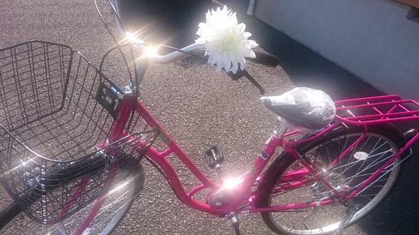 春にぴったり⭐