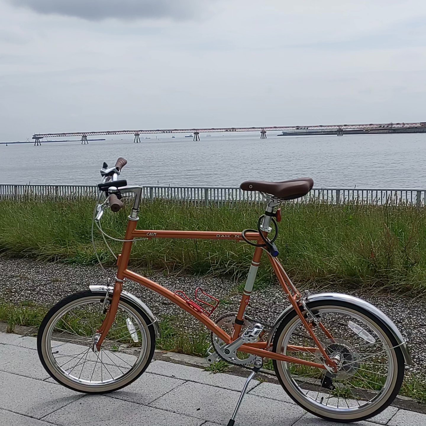 カッコカワイイです。