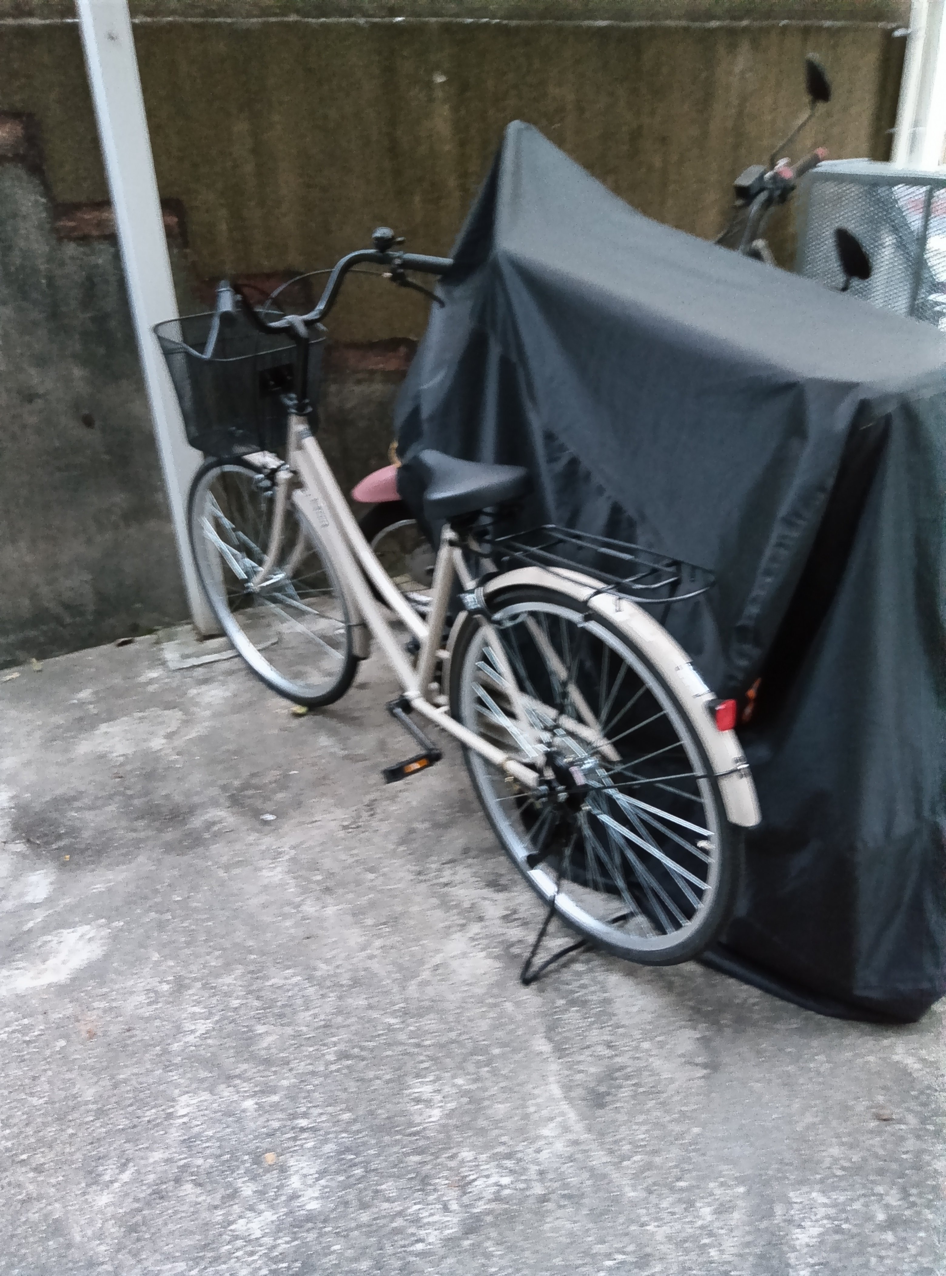 久しぶりの自転車